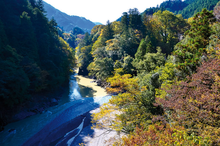 No.80 [TRAVEL] Okutama, another aspect of Tokyo | ZOOM JAPAN